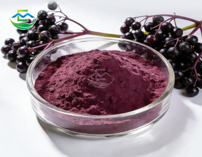 Elderberry Berry Extract